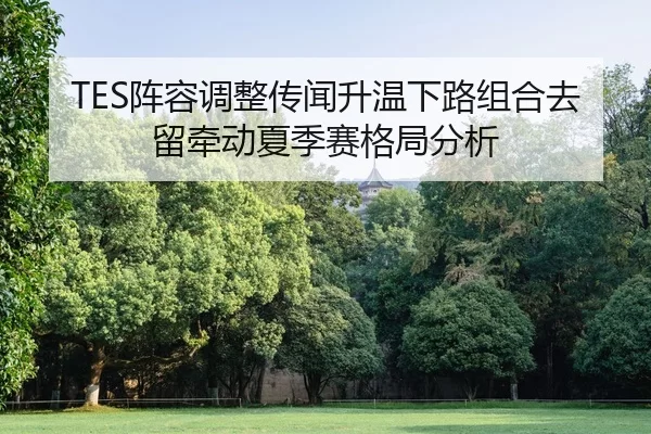 TES阵容调整传闻升温下路组合去留牵动夏季赛格局分析